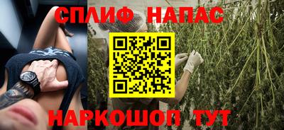 сатива Сланцы