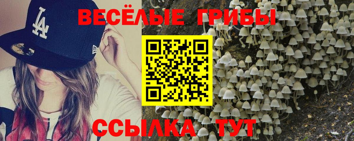 Нижневартовск  Галлюциногенные грибы MAGIC MUSHROOMS  Вход с VPN 