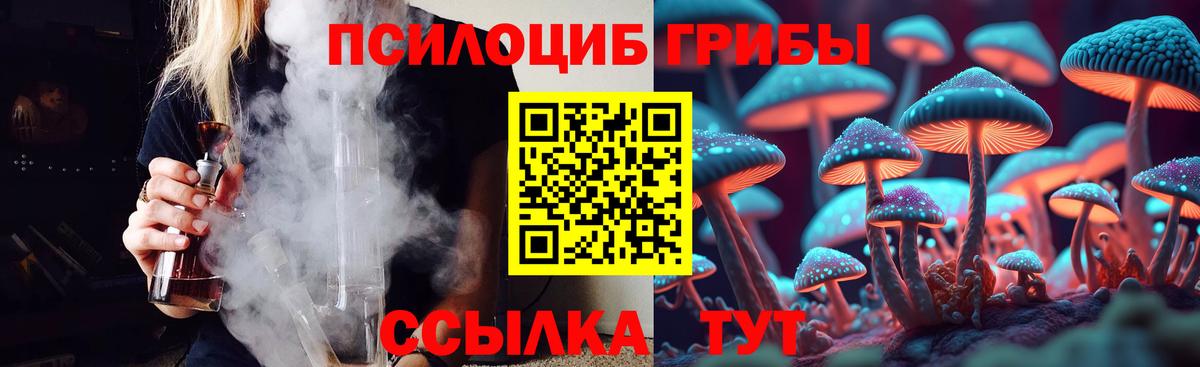 Галлюциногенные грибы Magic Shrooms Нижневартовск